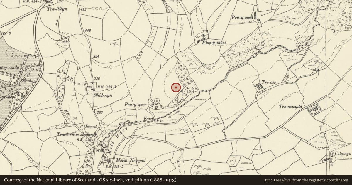 Ordnance Survey six-inch map, 2nd edition (1888–1913) covering the location of Pen y Gaer Hillfort, Abernant, Carmarthenshire, with a pin at the register's coordinates