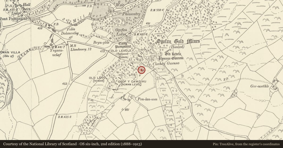 Ordnance Survey six-inch map, 2nd edition (1888–1913) covering the location of Dolaucothi Gold Mines, Cynwyl Gaeo, Carmarthenshire, with a pin at the register's coordinates