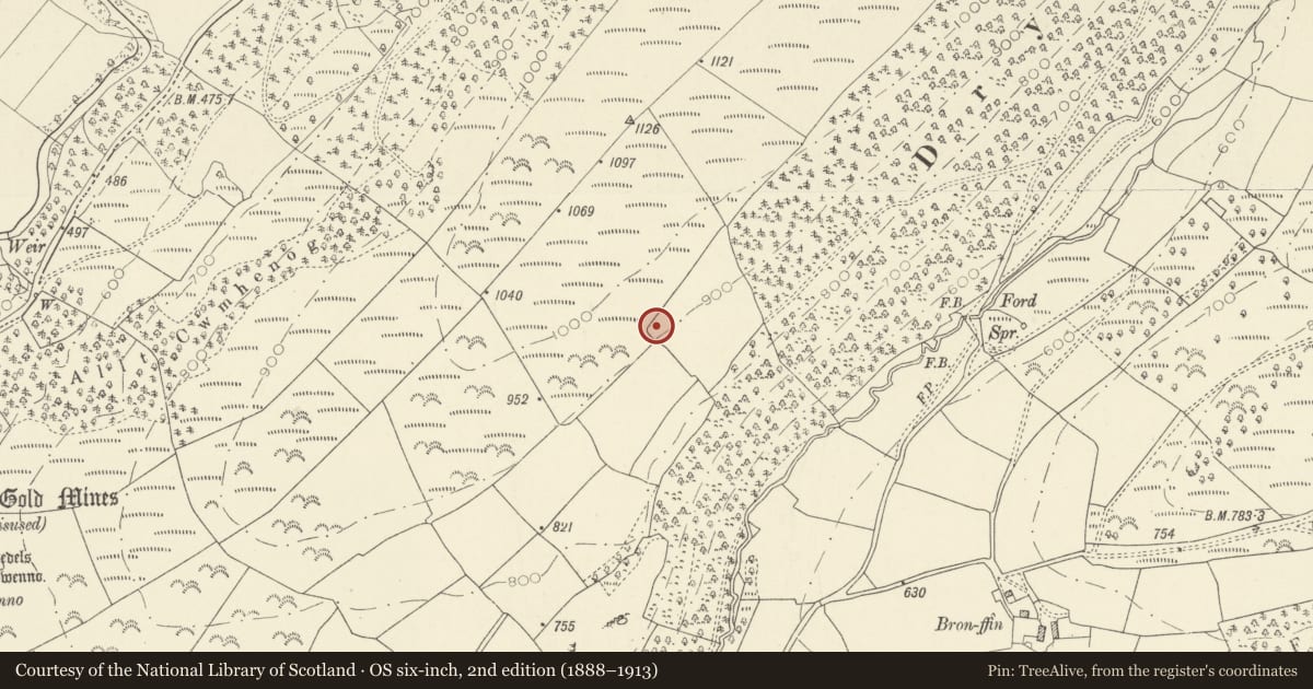 Ordnance Survey six-inch map, 2nd edition (1888–1913) covering the location of Annell Aqueduct (lower section), Cynwyl Gaeo, Carmarthenshire, with a pin at the register's coordinates
