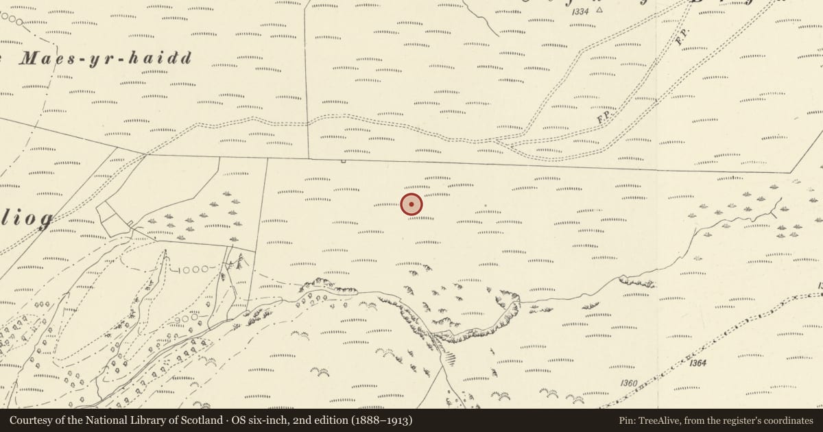 Ordnance Survey six-inch map, 2nd edition (1888–1913) covering the location of Annell Aqueduct (upper section), Cynwyl Gaeo, Carmarthenshire, with a pin at the register's coordinates