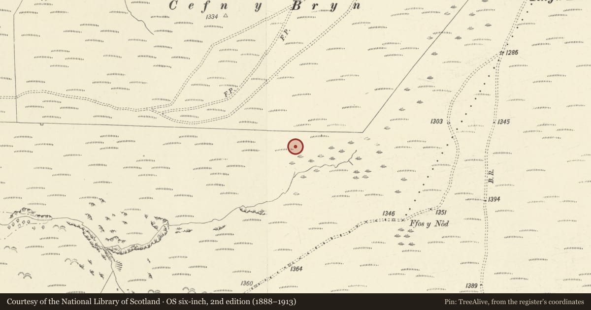 Ordnance Survey six-inch map, 2nd edition (1888–1913) covering the location of Hut at upper end of Annell Roman Aqueduct, Cynwyl Gaeo, Carmarthenshire, with a pin at the register's coordinates