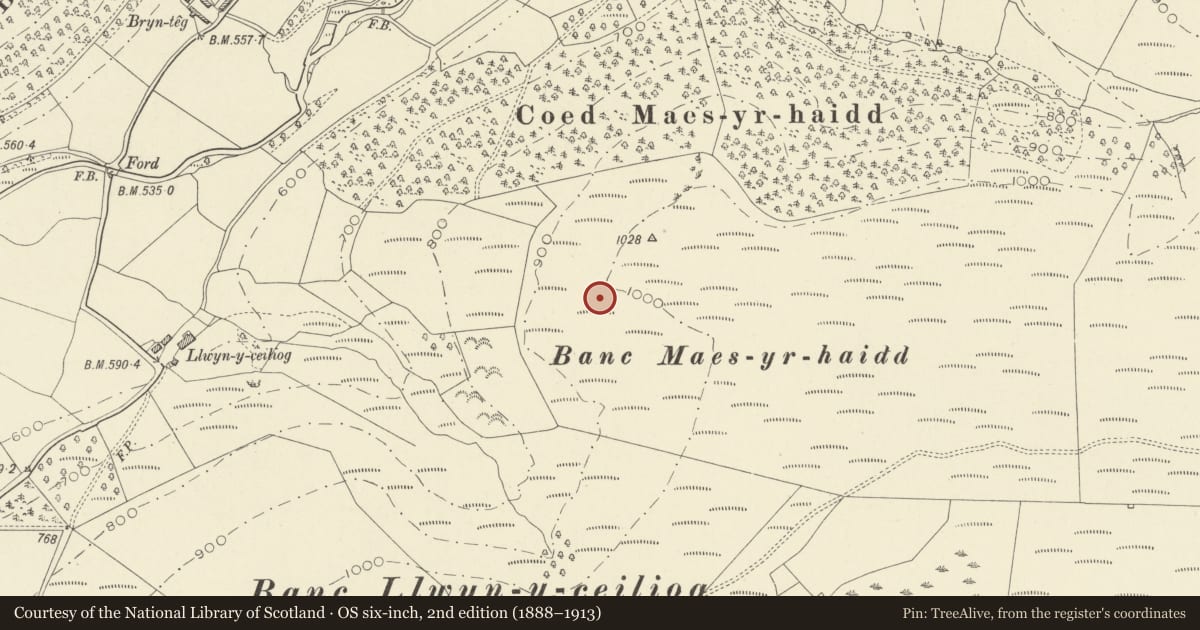 Ordnance Survey six-inch map, 2nd edition (1888–1913) covering the location of Cothi Roman Aqueduct, Cynwyl Gaeo, Carmarthenshire, with a pin at the register's coordinates