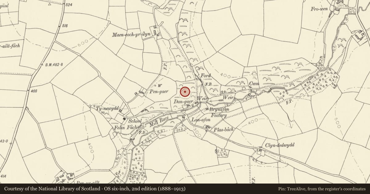 Ordnance Survey six-inch map, 2nd edition (1888–1913) covering the location of Pen-Gaer Promontory Fort, Llanboidy, Carmarthenshire, with a pin at the register's coordinates
