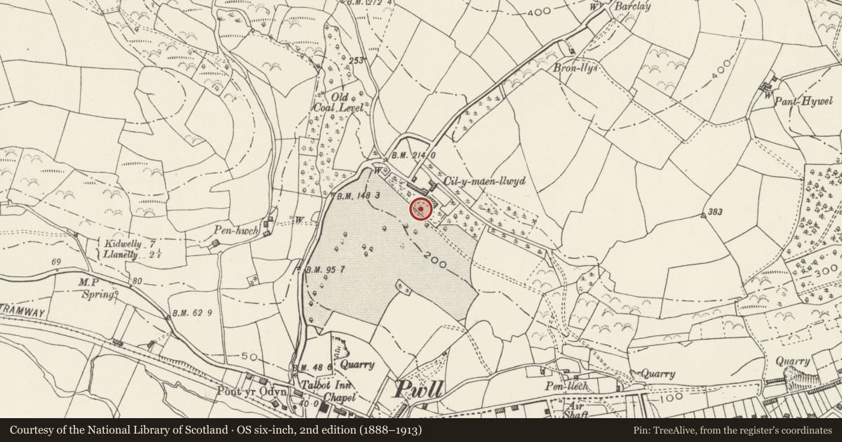 Ordnance Survey six-inch map, 2nd edition (1888–1913) covering the location of Cross-Marked Stone at Cilymaenllwyd House, Llanelli Rural, Carmarthenshire, with a pin at the register's coordinates