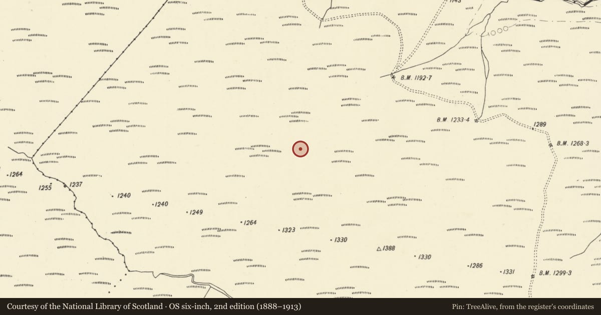 Ordnance Survey six-inch map, 2nd edition (1888–1913) covering the location of Cairns & Stone Circle S of Pen-y-Raglan-Wynt, Cilycwm, Carmarthenshire, with a pin at the register's coordinates