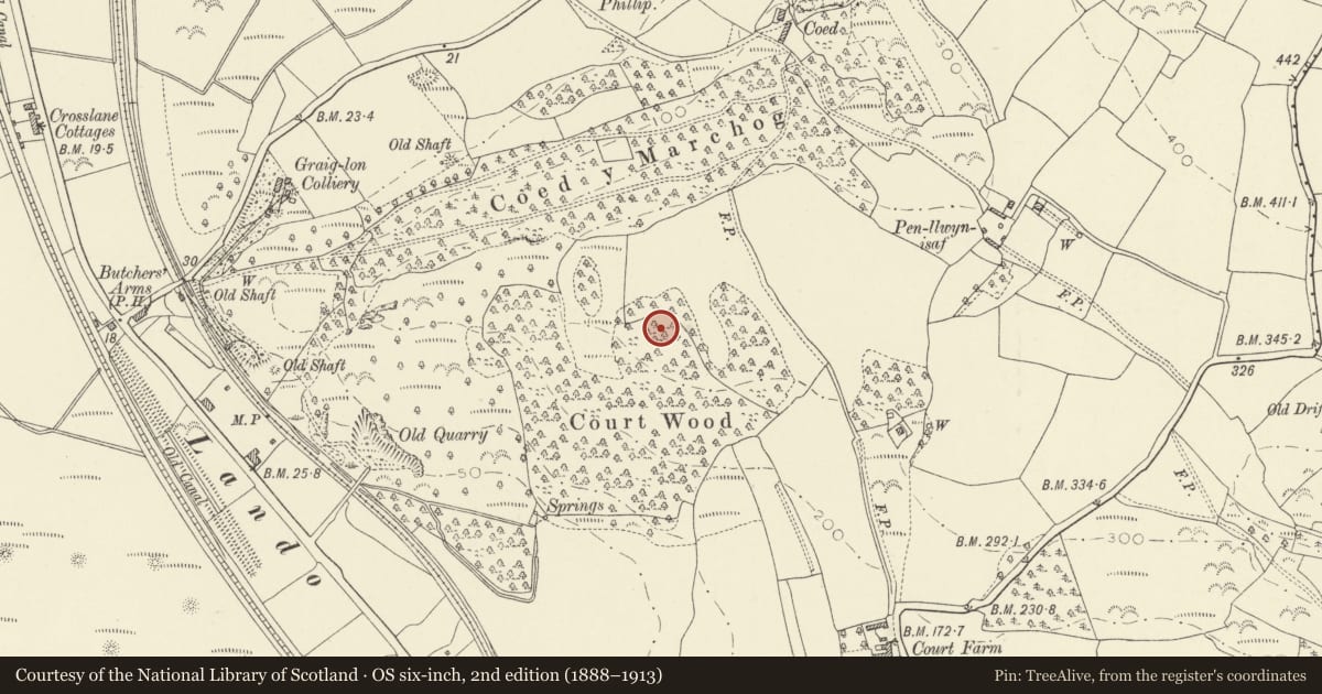 Ordnance Survey six-inch map, 2nd edition (1888–1913) covering the location of Court Wood Enclosure 500m SSW of Pen-Llwyn-Isaf, Cefn Sidan, Carmarthenshire, with a pin at the register's coordinates