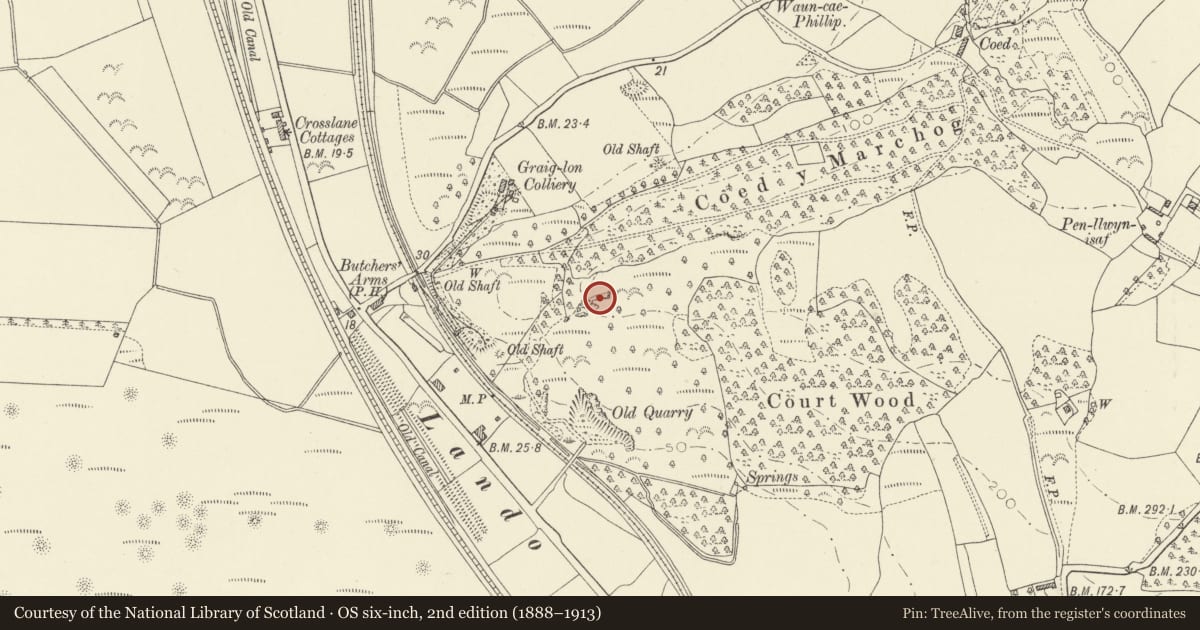 Ordnance Survey six-inch map, 2nd edition (1888–1913) covering the location of Garreg Lwyd Enclosure 600m SE of Crosslane Cottages, Cefn Sidan, Carmarthenshire, with a pin at the register's coordinates