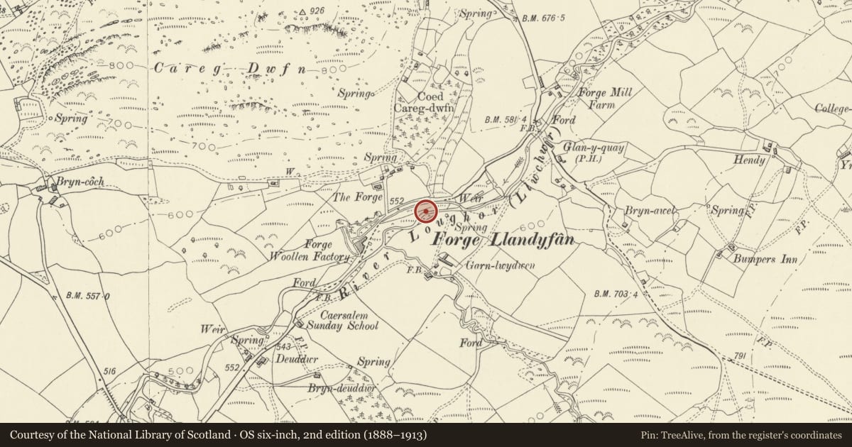 Ordnance Survey six-inch map, 2nd edition (1888–1913) covering the location of Site of Forge at Llandyfan, Cyngor Bro Dyffryn Cennen, Carmarthenshire, with a pin at the register's coordinates