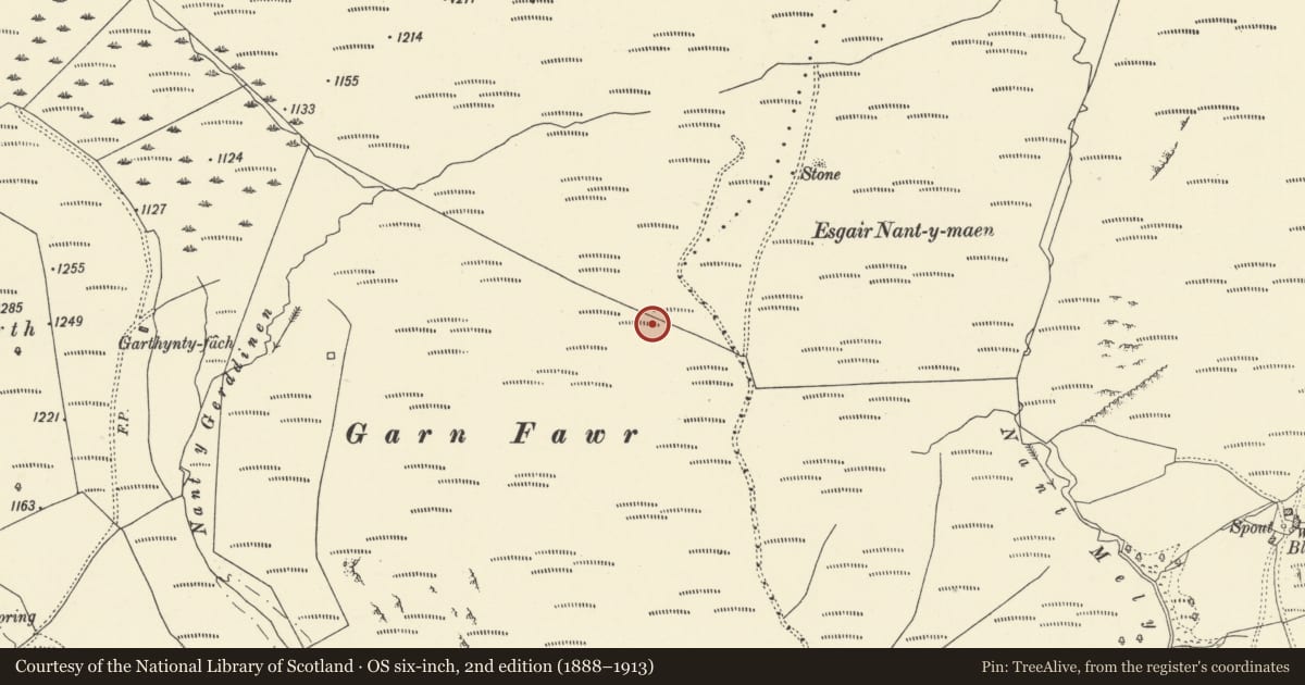 Ordnance Survey six-inch map, 2nd edition (1888–1913) covering the location of Cairn Groups on Garn Fawr, Cynwyl Gaeo, Carmarthenshire, with a pin at the register's coordinates