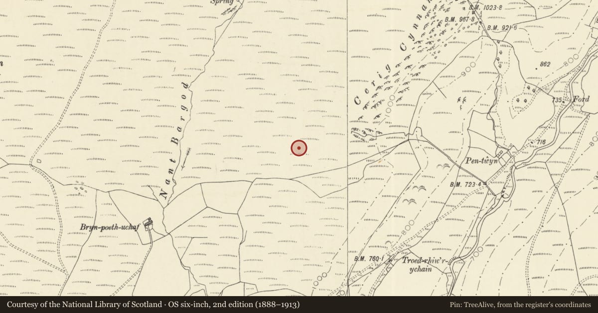 Ordnance Survey six-inch map, 2nd edition (1888–1913) covering the location of Stone Circle 200m SW of Cerrig Cynant, Llanfair-ar-y-Bryn, Carmarthenshire, with a pin at the register's coordinates
