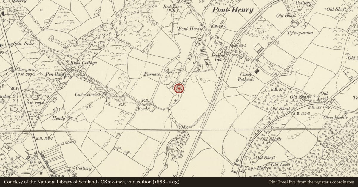 Ordnance Survey six-inch map, 2nd edition (1888–1913) covering the location of Remains of Blast Furnace at Pont Henry, Llangyndeyrn, Carmarthenshire, with a pin at the register's coordinates