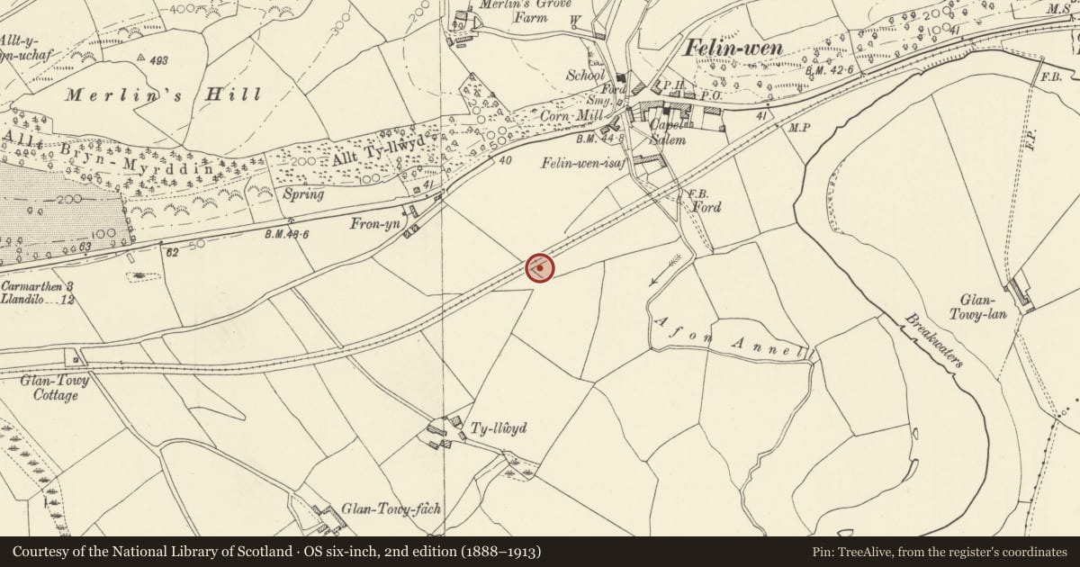 Ordnance Survey six-inch map, 2nd edition (1888–1913) covering the location of Round Barrow 200m SSW of Felin-Wen-Isaf, Abergwili, Carmarthenshire, with a pin at the register's coordinates