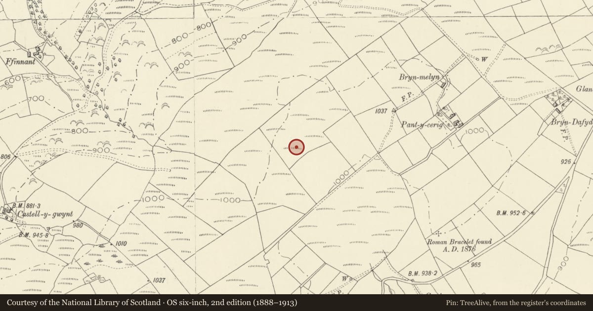 Ordnance Survey six-inch map, 2nd edition (1888–1913) covering the location of Y Garn Ring Cairn, Llanfynydd, Carmarthenshire, with a pin at the register's coordinates