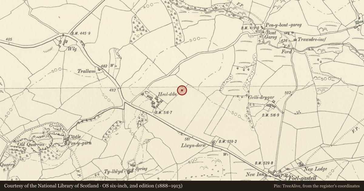 Ordnance Survey six-inch map, 2nd edition (1888–1913) covering the location of Ring Cairn 120m NE of Heol Ddu, Gorslas, Carmarthenshire, with a pin at the register's coordinates