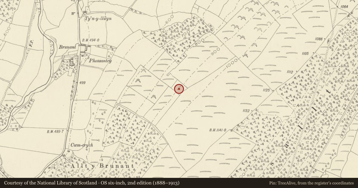 Ordnance Survey six-inch map, 2nd edition (1888–1913) covering the location of Roman Water Tank E of Brunant Farm, Cynwyl Gaeo, Carmarthenshire, with a pin at the register's coordinates