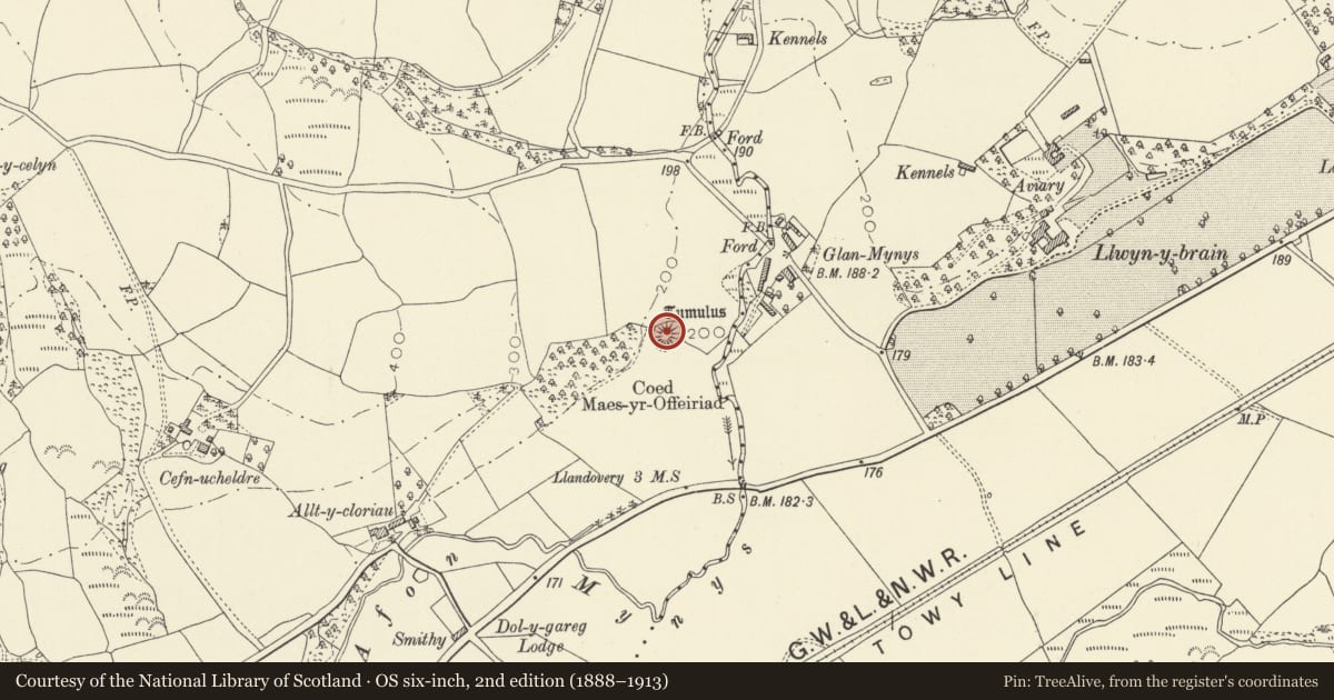 Ordnance Survey six-inch map, 2nd edition (1888–1913) covering the location of Llanwrda Castle Mound, Carmarthenshire, with a pin at the register's coordinates