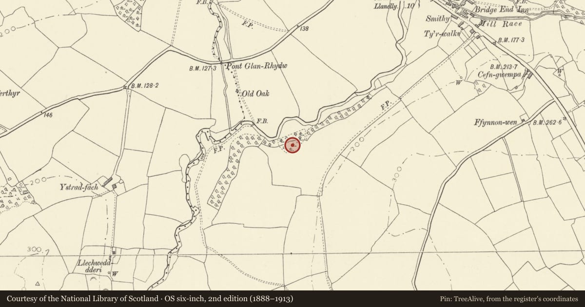 Ordnance Survey six-inch map, 2nd edition (1888–1913) covering the location of Castell y Domen, Gwempa, Llangyndeyrn, Carmarthenshire, with a pin at the register's coordinates