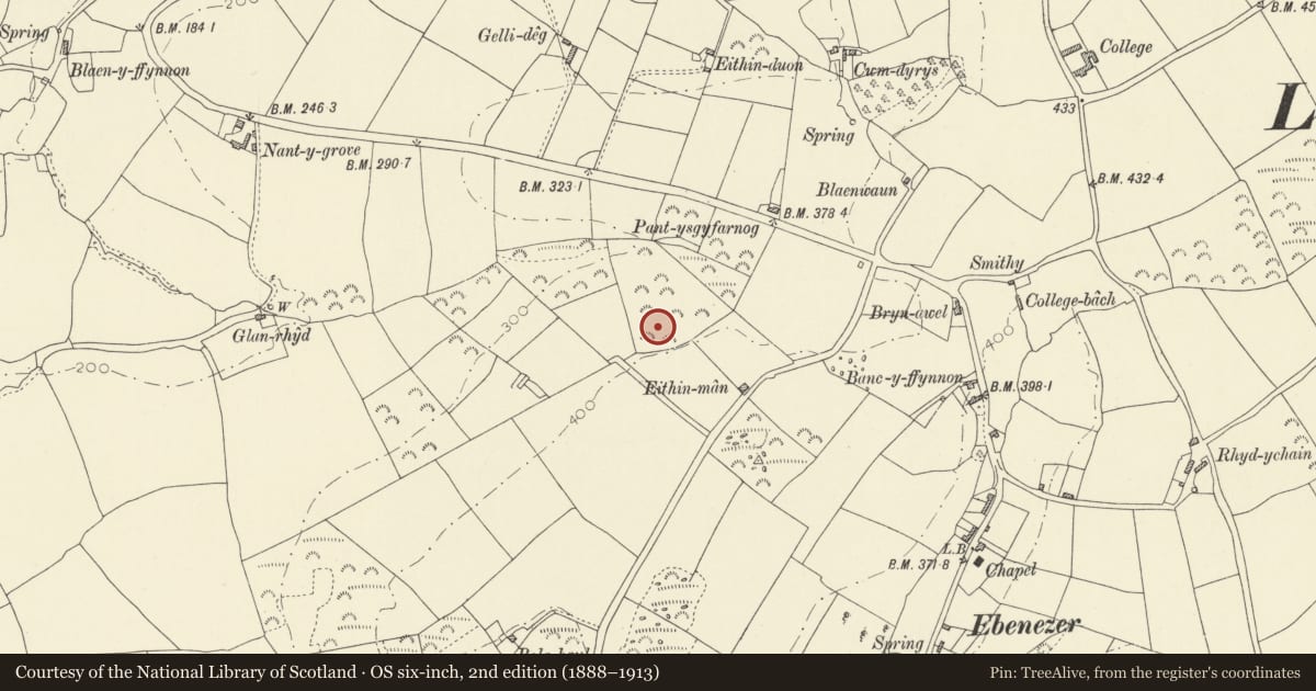 Ordnance Survey six-inch map, 2nd edition (1888–1913) covering the location of Enclosure 150m NW of Eithin Man, Llangynog, Carmarthenshire, with a pin at the register's coordinates