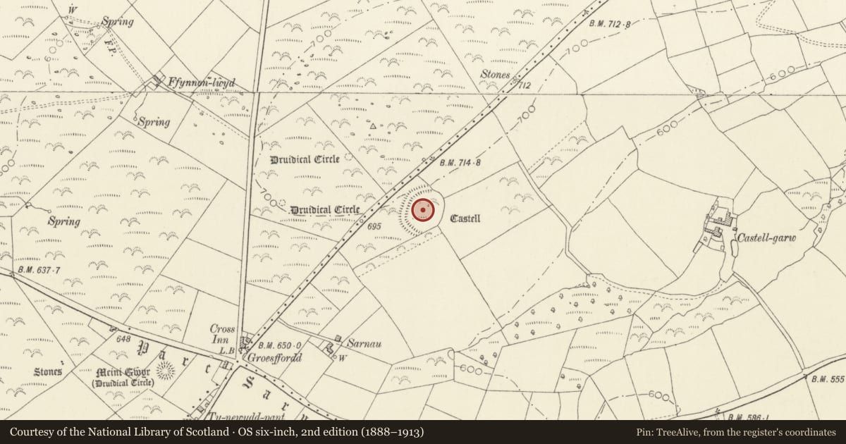 Ordnance Survey six-inch map, 2nd edition (1888–1913) covering the location of Castell Garw, Cilymaenllwyd, Carmarthenshire, with a pin at the register's coordinates