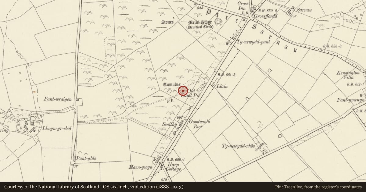 Ordnance Survey six-inch map, 2nd edition (1888–1913) covering the location of Tumulus N of Goodwins Row, Efailwen, Cilymaenllwyd, Carmarthenshire, with a pin at the register's coordinates