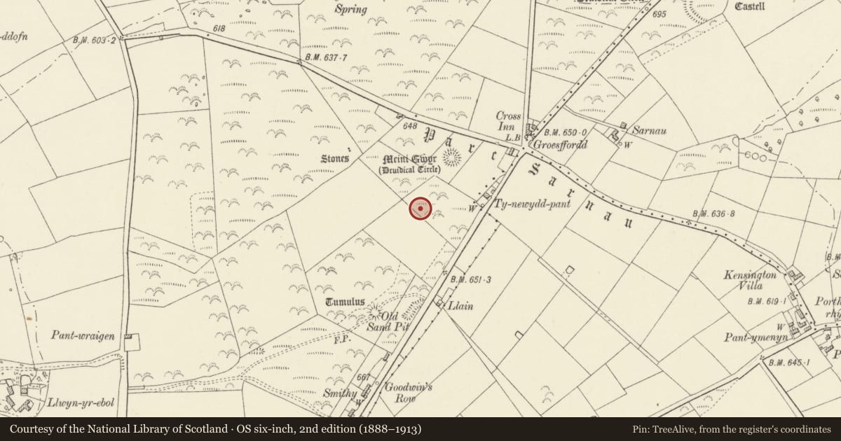 Ordnance Survey six-inch map, 2nd edition (1888–1913) covering the location of Earthwork 125m South West of Meini Gwyr, Cilymaenllwyd, Carmarthenshire, with a pin at the register's coordinates