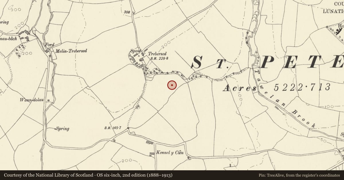 Ordnance Survey six-inch map, 2nd edition (1888–1913) covering the location of Trebersed Moated Site, Carmarthen, Carmarthenshire, with a pin at the register's coordinates
