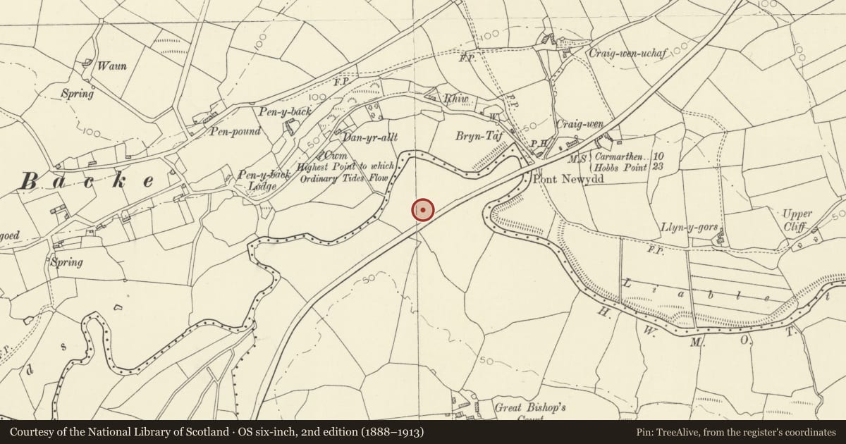 Ordnance Survey six-inch map, 2nd edition (1888–1913) covering the location of Dolgarn Moated Site, Llanddowror, Carmarthenshire, with a pin at the register's coordinates