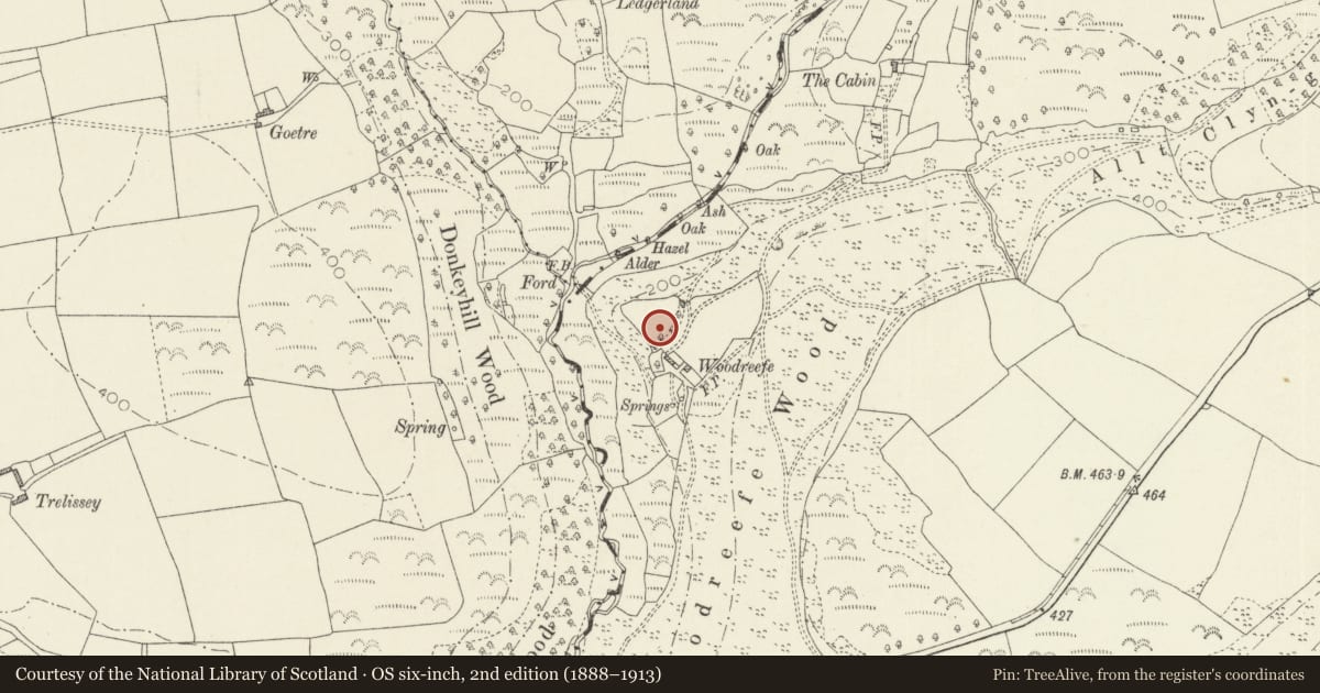 Ordnance Survey six-inch map, 2nd edition (1888–1913) covering the location of The Castle, Woodreefe, Eglwyscummin, Carmarthenshire, with a pin at the register's coordinates
