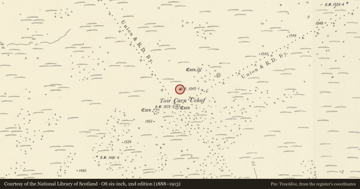 Ordnance Survey six-inch map, 2nd edition (1888–1913) covering the location of Tair Carn Uchaf Cairns, Quarter Bach, Carmarthenshire, with a pin at the register's coordinates