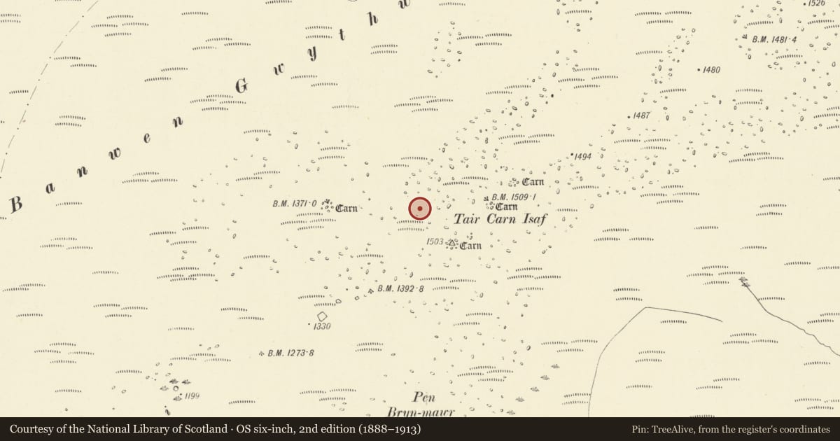 Ordnance Survey six-inch map, 2nd edition (1888–1913) covering the location of Tair Carn Isaf Cairns, Cwmamman, Carmarthenshire, with a pin at the register's coordinates
