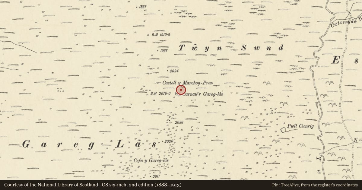 Ordnance Survey six-inch map, 2nd edition (1888–1913) covering the location of Carnau'r Gareg Las, Llanddeusant, Carmarthenshire, with a pin at the register's coordinates