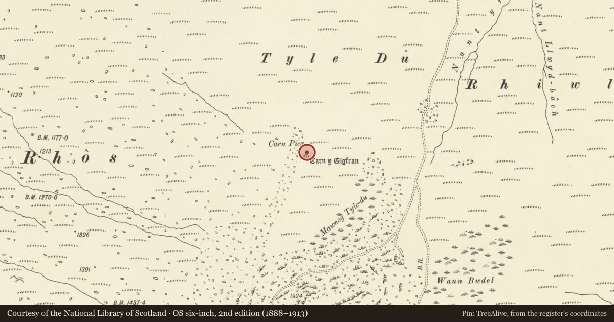 Ordnance Survey six-inch map, 2nd edition (1888–1913) covering the location of Carn y Gigfran, Llanddeusant, Carmarthenshire, with a pin at the register's coordinates