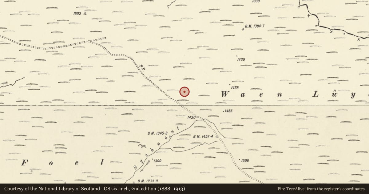 Ordnance Survey six-inch map, 2nd edition (1888–1913) covering the location of Stone Setting on Waun Llwyd, Llanddeusant, Carmarthenshire, with a pin at the register's coordinates