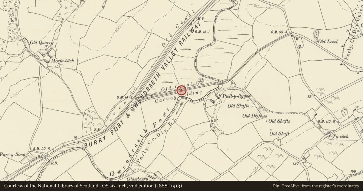 Ordnance Survey six-inch map, 2nd edition (1888–1913) covering the location of Kymer's Canal and Pwll y Llygoed Tramroad Bridge, Trimsaran, Carmarthenshire, with a pin at the register's coordinates