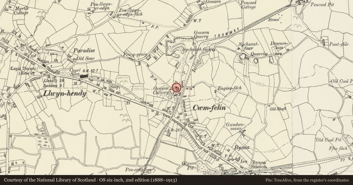 Ordnance Survey six-inch map, 2nd edition (1888–1913) covering the location of Genwen Engine House, Llanelli Rural, Carmarthenshire, with a pin at the register's coordinates