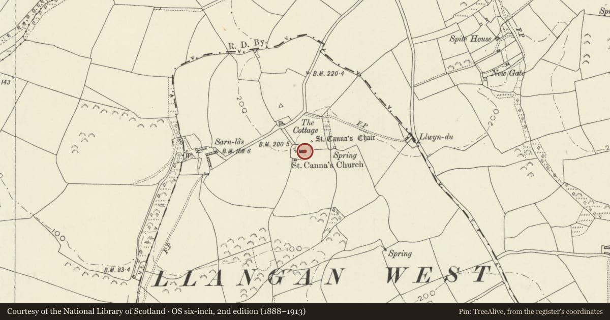 Ordnance Survey six-inch map, 2nd edition (1888–1913) covering the location of Llangan Church Cropmark Enclosure, Henllanfallteg, Carmarthenshire, with a pin at the register's coordinates