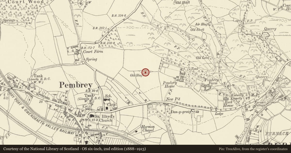 Ordnance Survey six-inch map, 2nd edition (1888–1913) covering the location of Colliery Ventilation Furnace at Pembrey, Cefn Sidan, Carmarthenshire, with a pin at the register's coordinates
