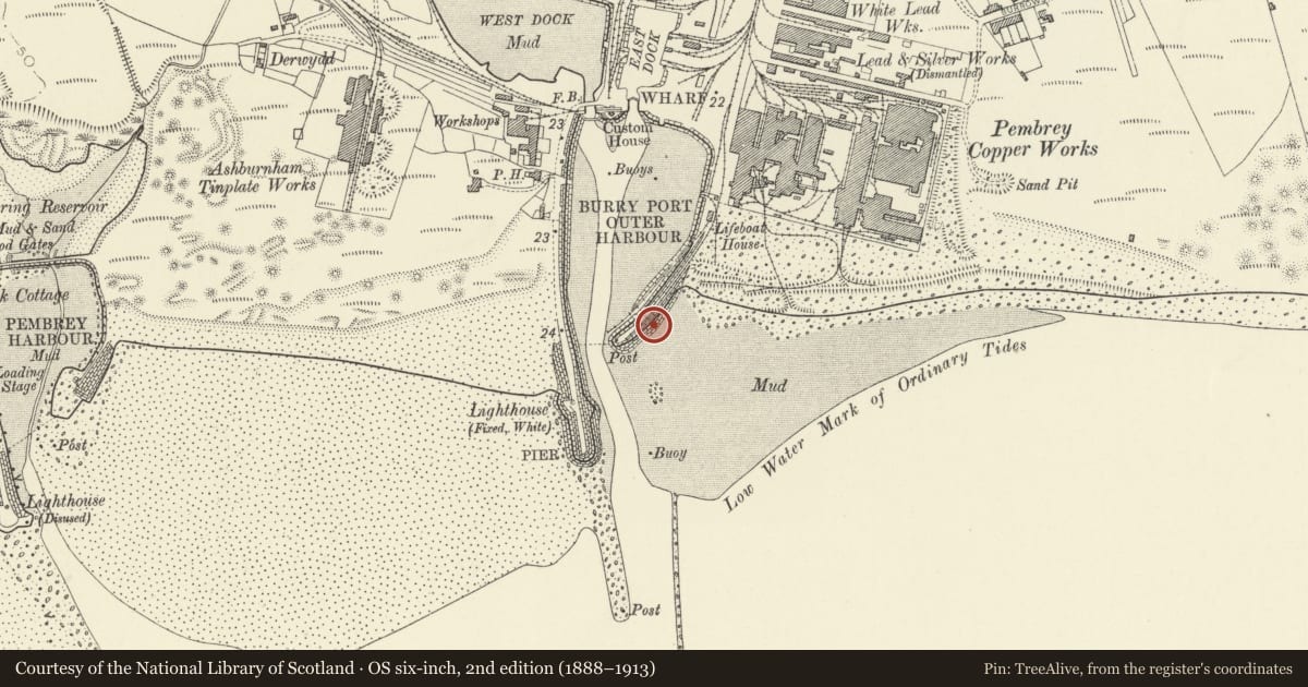 Ordnance Survey six-inch map, 2nd edition (1888–1913) covering the location of Iron Tub Boats at Burry Port Harbour, Cefn Sidan, Carmarthenshire, with a pin at the register's coordinates