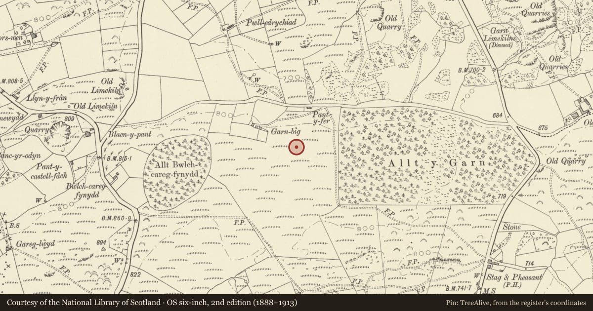 Ordnance Survey six-inch map, 2nd edition (1888–1913) covering the location of Cairn 150m ESE of Garnbig, Llanfihangel Aberbythych, Carmarthenshire, with a pin at the register's coordinates