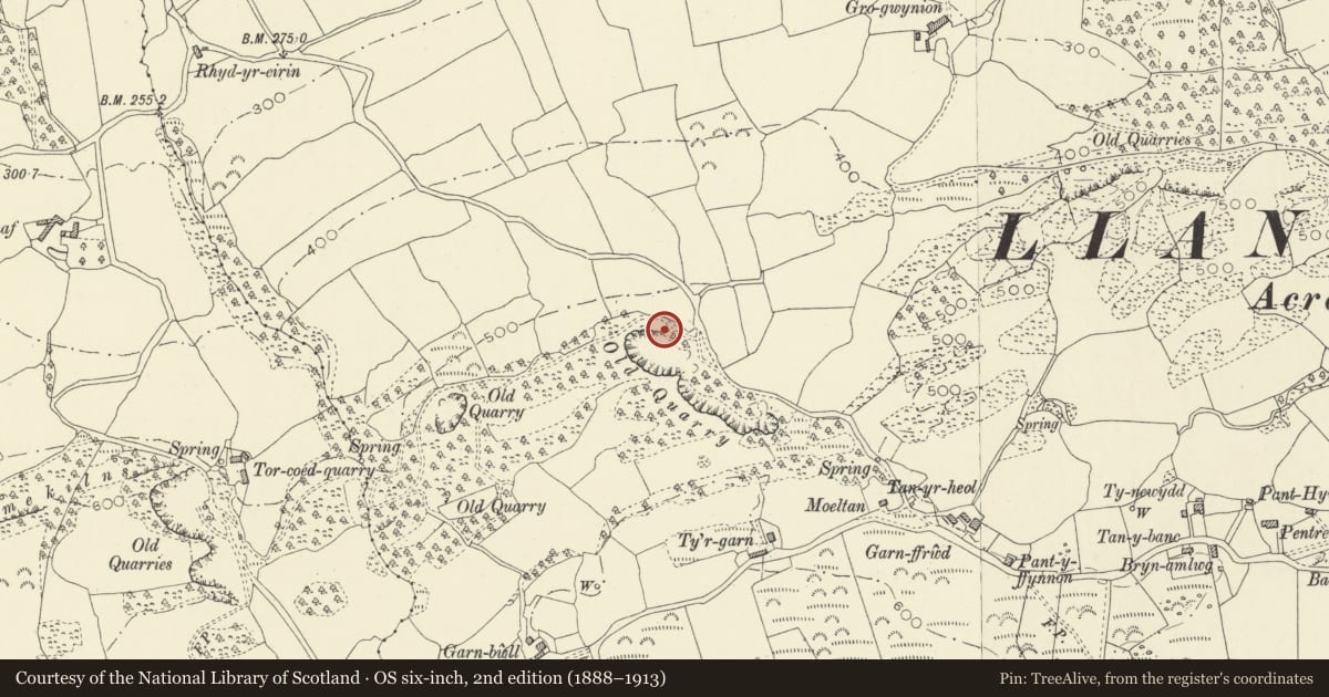 Ordnance Survey six-inch map, 2nd edition (1888–1913) covering the location of Odyn Jac Limekilns, Llanddarog, Carmarthenshire, with a pin at the register's coordinates