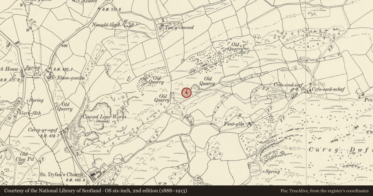Ordnance Survey six-inch map, 2nd edition (1888–1913) covering the location of Limekilns East of Cincoed, Cyngor Bro Dyffryn Cennen, Carmarthenshire, with a pin at the register's coordinates