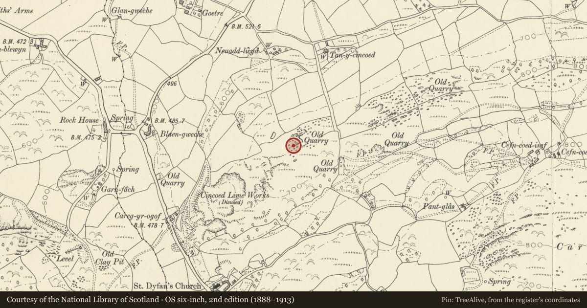 Ordnance Survey six-inch map, 2nd edition (1888–1913) covering the location of Cincoed Limestone Quarries and Kilns, Cyngor Bro Dyffryn Cennen, Carmarthenshire, with a pin at the register's coordinates