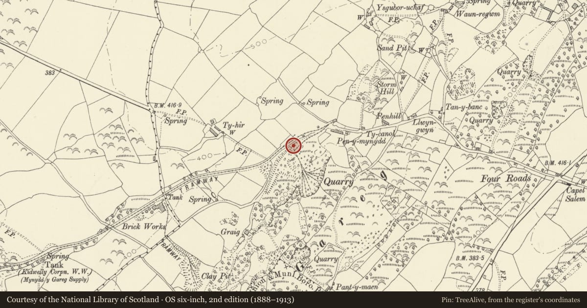 Ordnance Survey six-inch map, 2nd edition (1888–1913) covering the location of Limekilns at Penymynydd, Pedair Heol, Llangyndeyrn, Carmarthenshire, with a pin at the register's coordinates
