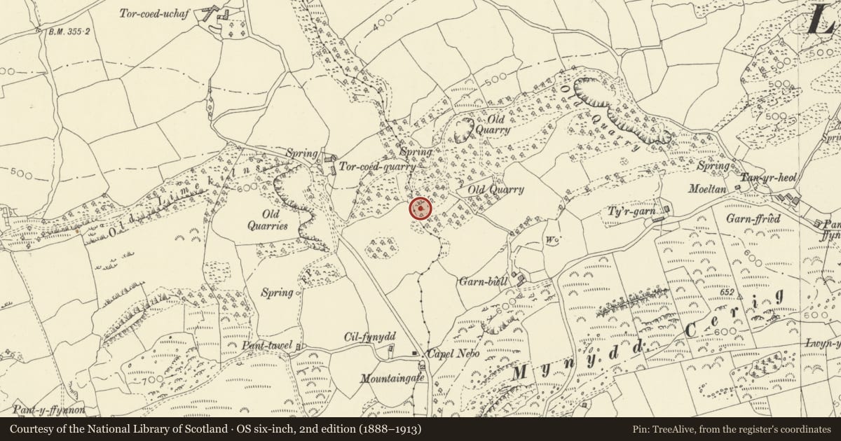 Ordnance Survey six-inch map, 2nd edition (1888–1913) covering the location of Garnbwll Limekiln, Llanddarog, Carmarthenshire, with a pin at the register's coordinates