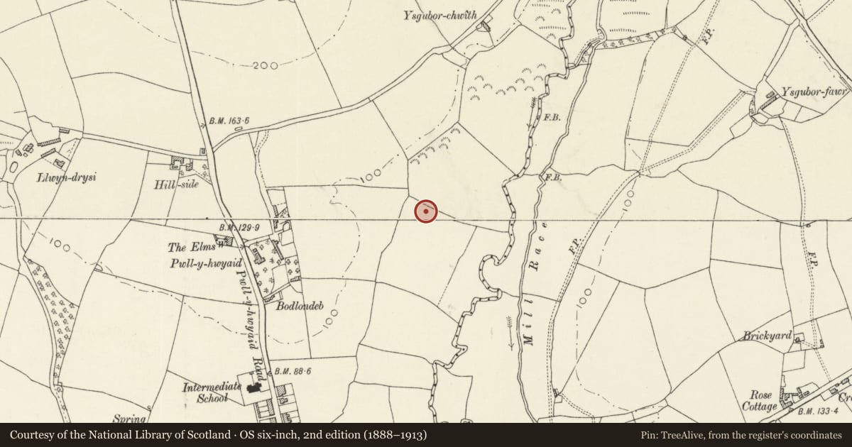 Ordnance Survey six-inch map, 2nd edition (1888–1913) covering the location of Roman Road 250m NE of Pwll-y-Hwyaid, Whitland, Carmarthenshire, with a pin at the register's coordinates