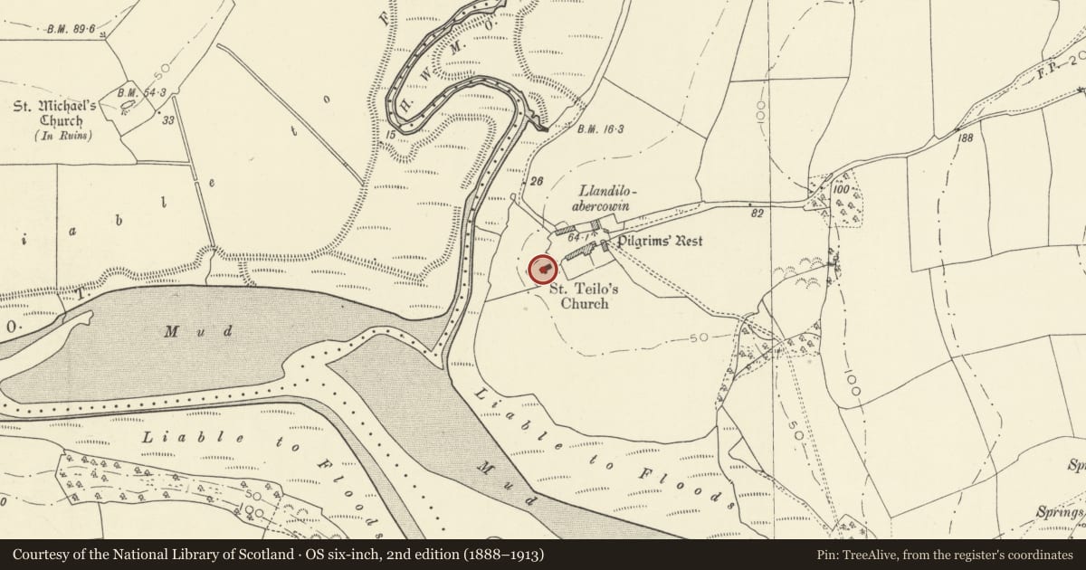 Ordnance Survey six-inch map, 2nd edition (1888–1913) covering the location of St.Teilo's Church, Llandeilo Abercywyn, Llangynog, Carmarthenshire, with a pin at the register's coordinates