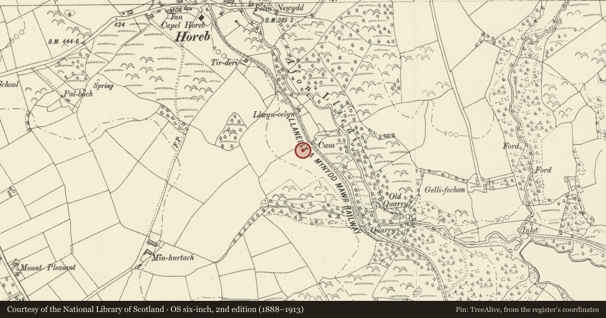Ordnance Survey six-inch map, 2nd edition (1888–1913) covering the location of Horeb Brickworks, Llanelli Rural, Carmarthenshire, with a pin at the register's coordinates