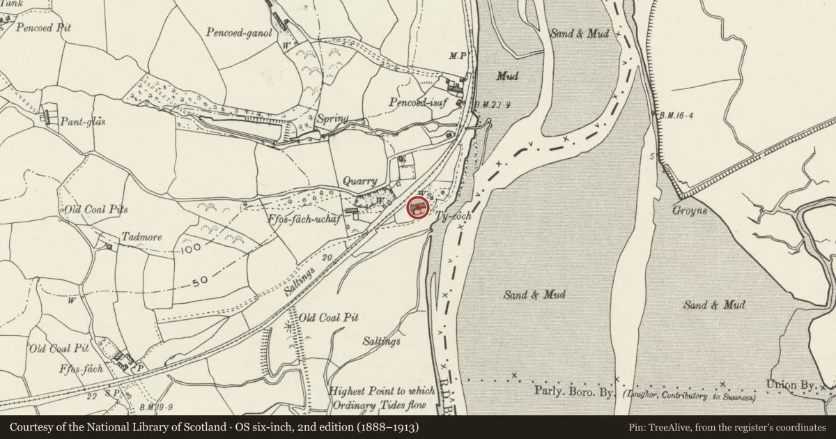 Ordnance Survey six-inch map, 2nd edition (1888–1913) covering the location of Pencoed Lead Works, Llanelli Rural, Carmarthenshire, with a pin at the register's coordinates
