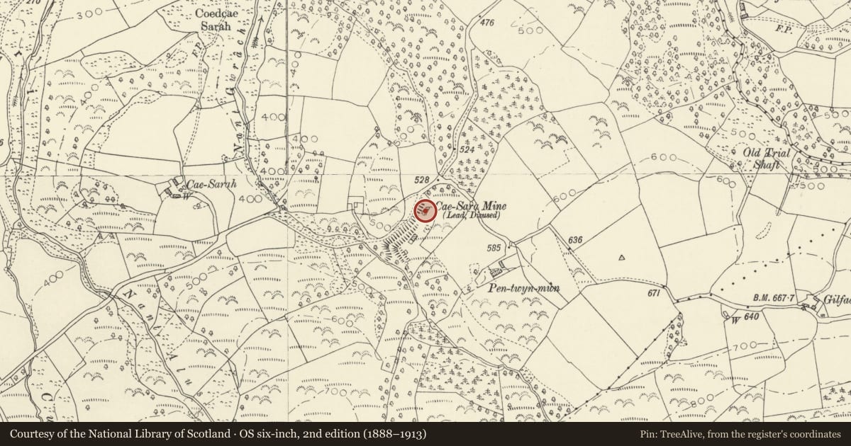 Ordnance Survey six-inch map, 2nd edition (1888–1913) covering the location of Cae Sara Lead Mine, Llangadog, Carmarthenshire, with a pin at the register's coordinates