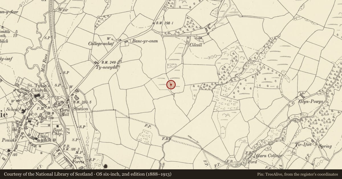 Ordnance Survey six-inch map, 2nd edition (1888–1913) covering the location of Group of Burnt Mounds 300m SSW of Cilcoll Farm, Llandybie, Carmarthenshire, with a pin at the register's coordinates